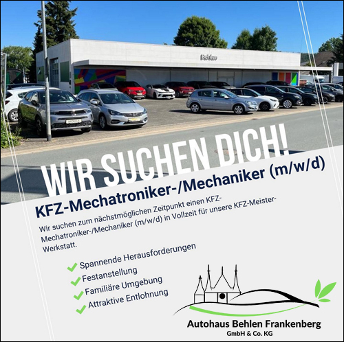 Kfz-Werkstatt in Diemelstadt