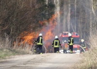 Am Ostermontag ereigneten sich zwei Waldbrände - die Feuerwehren waren stundenlang im Einsatz, um die Flammen zu bekämpfen.