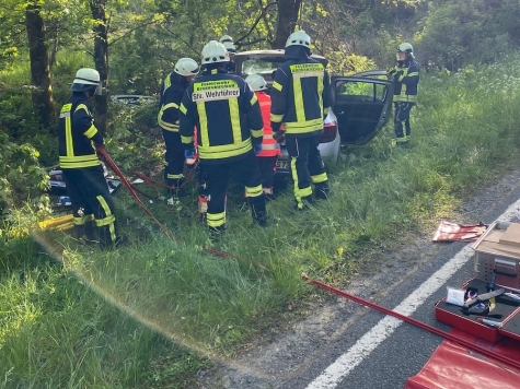 Um die Frau schonend aus dem Dacia zu retten, entfernten die Einsatzkräfte das Dach des Wagens.