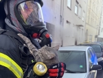 Feuerwehr rettet Katze