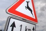 Besonders an Wald- und Feldr&auml;ndern ist derzeit mit erh&ouml;htem Wildwechsel zu rechnen.