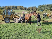 Die Feuerwehr befreite am 25. September 2026 ein Pferd aus einem Entwässerungsgraben zwischen Rhena und Lelbach.