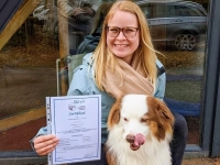 Der seit 2021 ausgebildete Therapiehund Thanos ergänzt gemeinsam mit Ergotherapeutin Janina Stengl die Arbeit der Geriatrie am Krankenhaus Bad Arolsen.