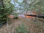 Rund 600 Quadratmeter Unterholz standen am 11. August 2026 in einem Waldst&uuml;ck an der Ederseerandstra&szlig;e in Flammen.