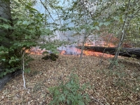 Rund 600 Quadratmeter Unterholz standen am 11. August 2026 in einem Waldstück an der Ederseerandstraße in Flammen.