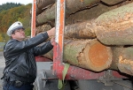 Holztransporte haben BAG und RDV in der 22. Kalenderwoche in Waldeck-Frankenberg unter die Lupe genommen.