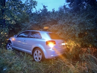 Der Audi A3 musste nach dem Unfall von der Firma AVAS aus den Büschen geborgen und abgeschleppt werden.