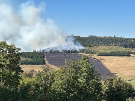 Mehr als 650 Feuerwehrkräfte waren seit Beginn des Waldbrandes am 13. August 2026 in wechselnden Schichten an den Einsatzmaßnahmen beteiligt.