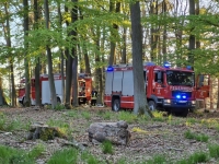 Bei dem Waldbrand brannten zwischen Höringhausen und Dehringhausen rund 500 Quadratmeter Waldboden und Gehölz.