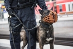 Die Bundespolizei in Gießen setzte am 30. März einen Diensthund ein.