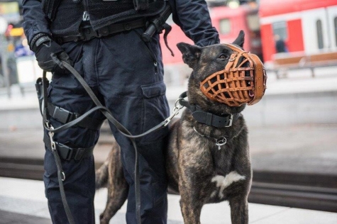 Die Bundespolizei in Gießen setzte am 30. März einen Diensthund ein.