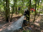 Ein Feuer am Wildpark Edersee konnte am 6. August schnell gelöscht werden.
