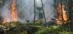 Aufgrund der anhaltenden Trockenheit und der damit verbundenen Waldbrandgefahr richtet der Landkreis Waldeck-Frankenberg einen  Appell an die Bev&ouml;lkerung. Um die heimische Natur, W&auml;lder und Felder zu sch&uuml;tzen, bittet der Landkreis um die Einhaltung verschiedener Sicherheitsma&szlig;nahmen.