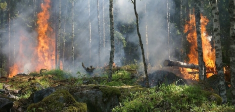 Aufgrund der anhaltenden Trockenheit und der damit verbundenen Waldbrandgefahr richtet der Landkreis Waldeck-Frankenberg einen  Appell an die Bevölkerung. Um die heimische Natur, Wälder und Felder zu schützen, bittet der Landkreis um die Einhaltung verschiedener Sicherheitsmaßnahmen.
