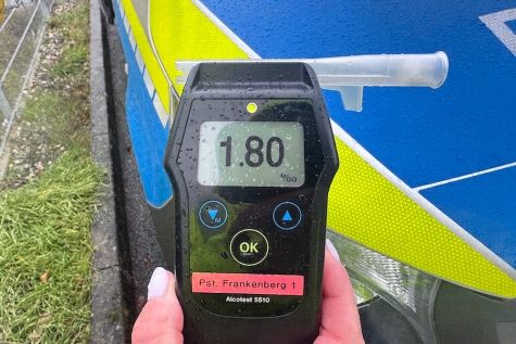 Zwei Polizistinnen wurden beim Einfangen des Hundes in die Hände gebissen und mussten im Krankenhaus behandelt werden.