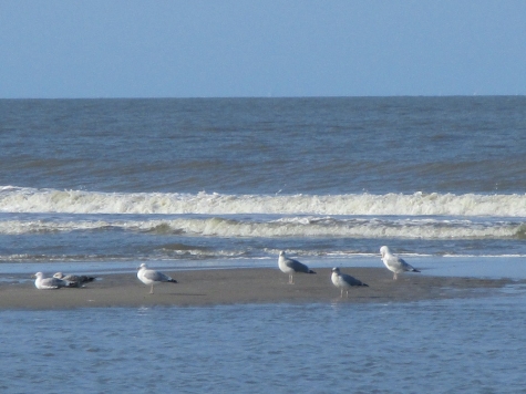 Unter dem Motto „Frauen am Meer – Eine Woche Zeit für mich“ lädt der Landkreis zu einer Entspannungsreise nach Norderney ein.