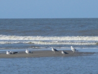 Unter dem Motto „Frauen am Meer – Eine Woche Zeit für mich“ lädt der Landkreis zu einer Entspannungsreise nach Norderney ein.