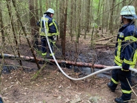 Am 1. Juli 2020 brannte ein Waldstück bei Basdorf - 50 Feuerwehrleute waren im Einsatz.