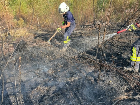 Einsatzkräfte der Feuerwehr Waldeck unterstützten am 15. August 2026 die Arbeiten beim Waldbrand nahe Helminghausen.