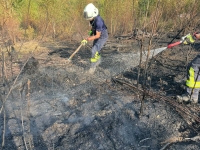 Einsatzkräfte der Feuerwehr Waldeck unterstützten am 15. August 2026 die Arbeiten beim Waldbrand nahe Helminghausen.