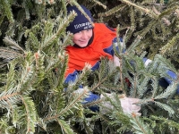 Insgesamt 22 Kinder und Jugendliche waren allein in der Kernstadt unterwegs und beförderten mit Unterstützung ihrer Betreuer zahlreiche Ladungen zum Schredderplatz.