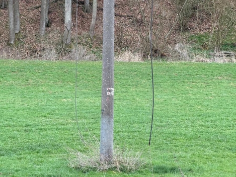 Zwischen Berndorf und dem Mühlhäuser Hammer beschädigte ein Ast eine Stromleitung.