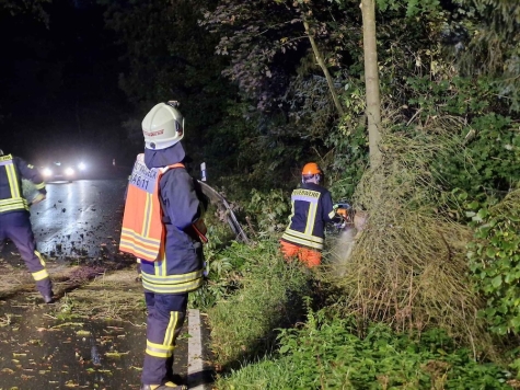 Am 4. Oktober 2025 leuchteten Einsatzkräfte den Arbeitsbereich aus und zerlegten den Fichtenstamm mit der Kettensäge.