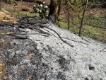 Zwei Mountainbiker entdeckten am 12. April 2026 den Waldbrand am Homberg und alarmierten die Feuerwehr.
