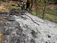 Zwei Mountainbiker entdeckten am 12. April 2026 den Waldbrand am Homberg und alarmierten die Feuerwehr.