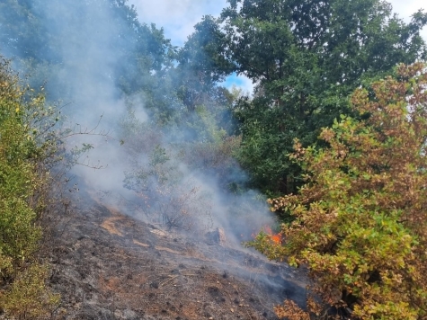 Der zügige Einsatz der Feuerwehren Frankenberg und Ortsteile am 3. September 2025 verhinderte Schlimmeres.