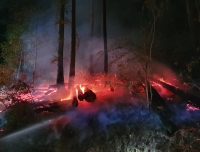 Über 100 Kräfte waren zwischen Marsberg und Giershagen im Einsatz um einen Waldbrand zu löschen. 