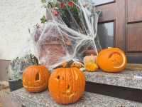 Die Polizei informiert über Regeln an Halloween.