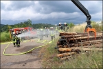 Ein Holzpolter brannte bei Elsoff an einem Waldweg. Ursache: Brandstiftung. 