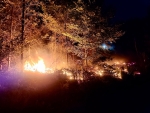Meterhoch schlugen die Flammen am 10. August 2026 bei einem Waldbrand im Bereich Siedlinghausen in den Nachthimmel.
