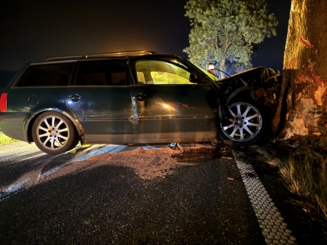 Der stark beschädigte VW Passat nach dem Aufprall gegen einen Baum.