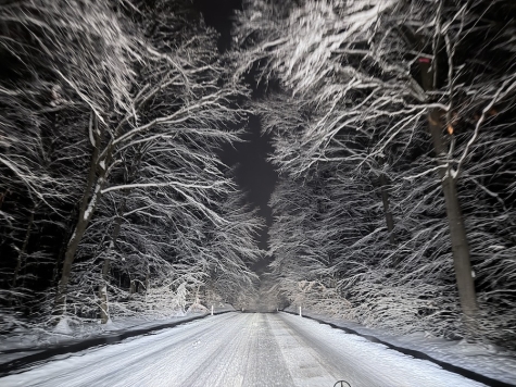 Gleich zwei Autofahrer übersahen am Freitag, den 30.01.2026, einen umgestürzten Baum auf der schneebedeckten K 67 bei Diemelsee.