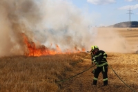 Eine große Feuerwand lief am 1. August 2026 über die gesamte Breite des Feldes und griff später auf ein Waldstück über.