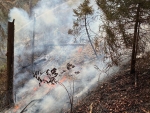 Rund 2500 Quadratmeter eines Steilhangs im Wald bei Reinhardshausen brannten am 10. September 2026.