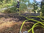 Mehr als 100 Quadratmeter Grasfl&auml;che sowie Teile von Geb&uuml;sch und Unterholz standen am 2. August 2026 in Edertal in Flammen.
