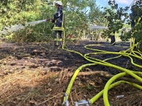 Mehr als 100 Quadratmeter Grasfläche sowie Teile von Gebüsch und Unterholz standen am 2. August 2026 in Edertal in Flammen.