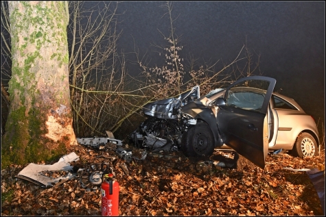 Der Fahrer des Opel starb beim Aufprall auf den Baum.