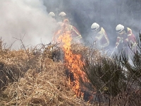 Bei einem Wochenendseminar trainierte die Feuerwehr Bad Laasphe Grundlagen und Taktiken der Vegetationsbrandbekämpfung.