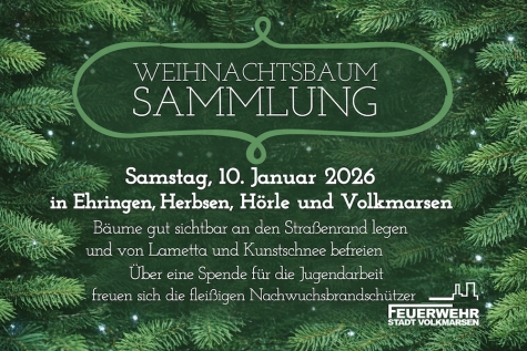 In der gesamten Kernstadt und den Ortsteilen sind die Jugendlichen der Feuerwehr am Samstag im Einsatz, um die ausgedienten Weihnachtsbäume abzuholen.
