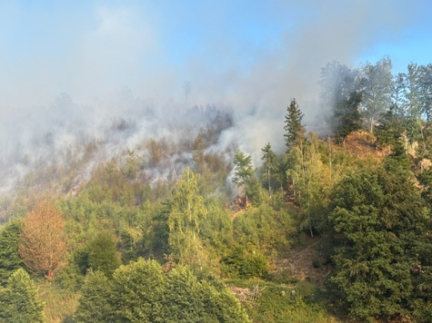 In der Gemarkung Helminghausen in NRW, geriet ein Waldstück in Brand, zahlreiche Kräfte waren im Einsatz, darunter auch Ehrenamtliche aus dem Landkreis Waldeck-Frankenberg.