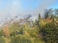 In der Gemarkung Helminghausen in NRW, geriet ein Waldstück in Brand, zahlreiche Kräfte waren im Einsatz, darunter auch Ehrenamtliche aus dem Landkreis Waldeck-Frankenberg.