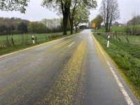 Blüten und Pollen von Straßenbäumen können die Fahrbahn derzeit stellenweise rutschig machen.