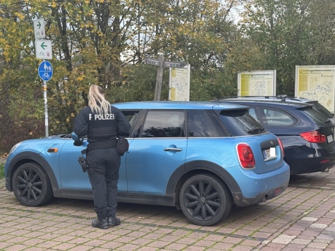 Kontrolle am Straßenrand: Polizei im Gespräch mit Fahrer.