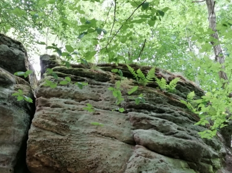 Bei den Veranstaltungen vom 4. bis 6. September 2026 reichen die Themen vom Kiesabbau bis zur Fossiliensuche.