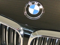 Ein Pkw der Marke BMW wurde in der vergangenen Nacht in Vöhl gestohlen.