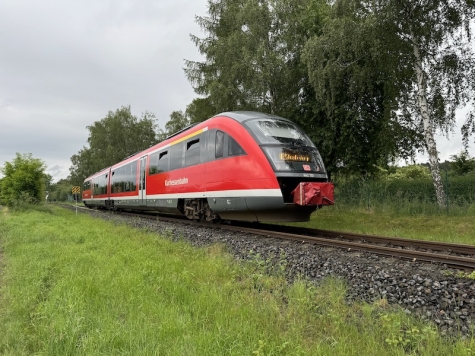 Tragischer Unfall auf der Bahnstrecke Warburg-Meschede: Regionalbahn RE 17 kollidiert mit einem Pferd, das im Gleisbett stand.